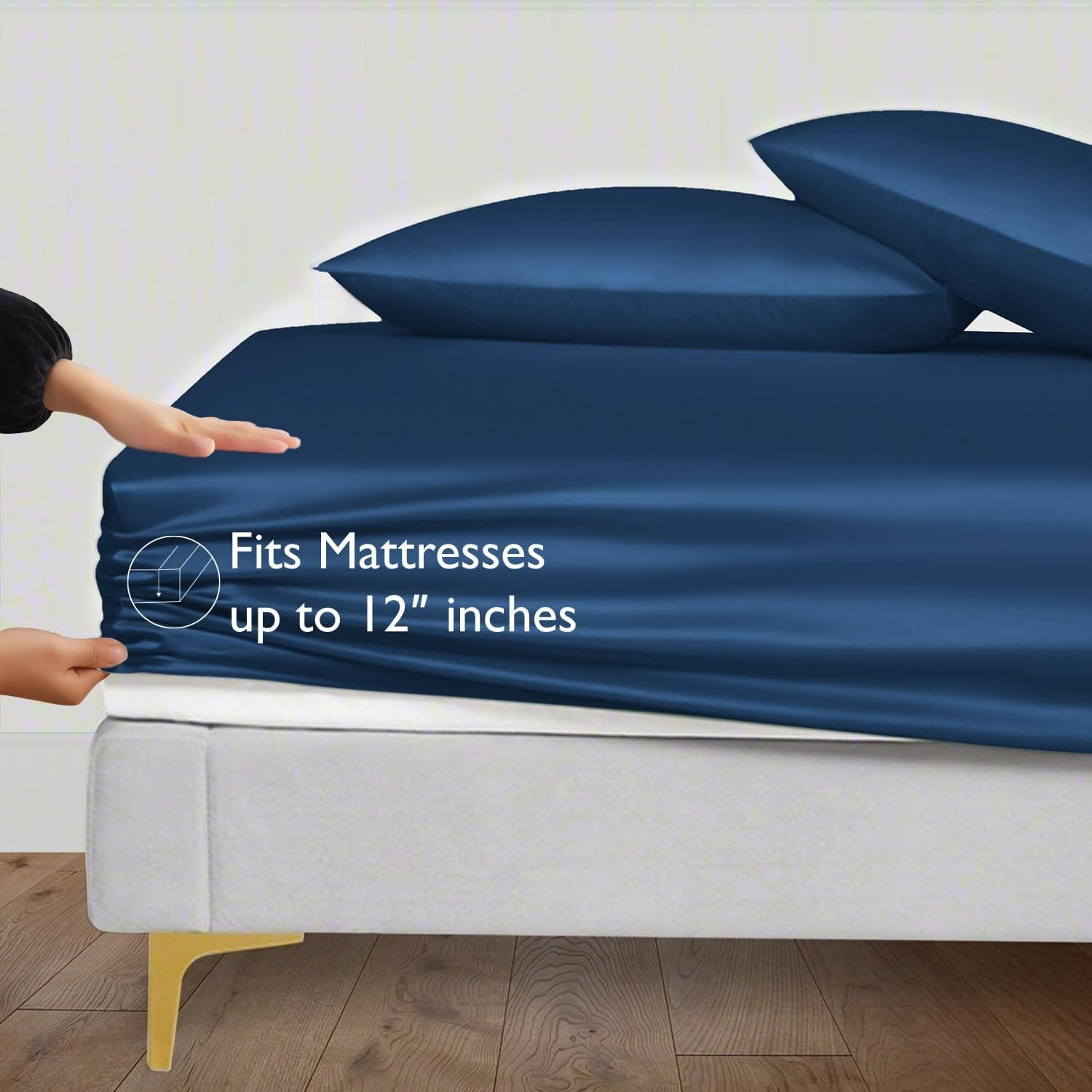 bdst61-1.jpeg
