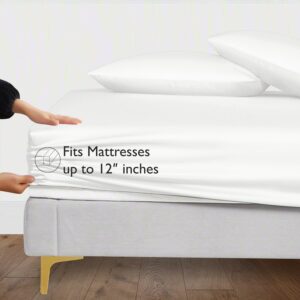 Seasons Bamboo Silk Fitted White Colour Bedsheet